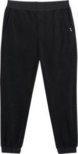 4f Spodnie męskie CAS M1559 czarne 4FWAW25TTROM1559 20S 2XL 2