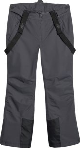 4f Spodnie narciarskie męskie FNK M1155 antracyt 4FWAW25TFTRM1155 22S L 2