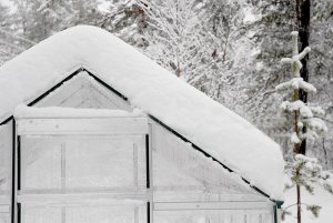 Palram Szklarnia Ogrodowa 701781 3,65 x 1,85 m x 208 cm Mocny Wytrzymały Tunel 4