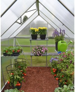 Palram Szklarnia Ogrodowa 701549 246 x 185 m x 208 cm Mocna z poliwęglanu tunel 4