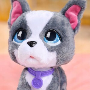 Hasbro *****FRF Buldog francuski na smyczy 81617 2
