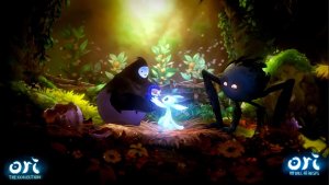 Ori The Collection (NS) 4