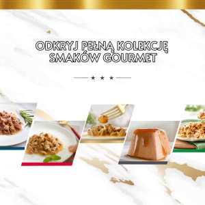 Purina GOURMET GOLD Mus Mix smaków 48x85g 12