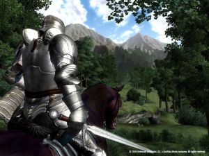 The Elder Scrolls IV: Oblivion - Game of The Year Edition PC, wersja cyfrowa 3