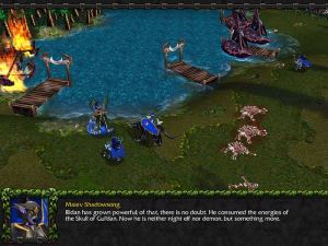 Warcraft III: Reign of Chaos PC, wersja cyfrowa 2