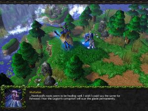 Warcraft III: Reign of Chaos PC, wersja cyfrowa 4