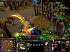Warcraft III: The Frozen Throne PC, wersja cyfrowa 11