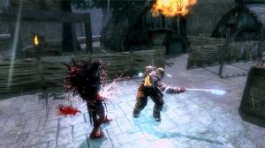 Viking: Battle for Asgard PC, wersja cyfrowa 2