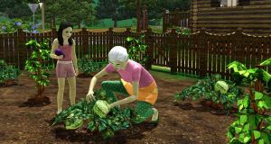 The Sims 3: Magiczne Źródła PC, wersja cyfrowa 9