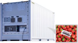 Voltcraft Rejestrator temperatury DLS-200 2315346 9