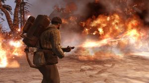 Relic Entertainment Company of Heroes 2 - Platinum Edition PC, wersja cyfrowa 8