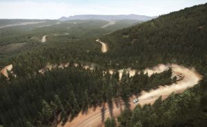 DiRT Rally PC, wersja cyfrowa 11