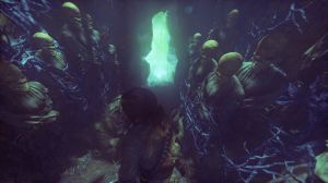 Rise of the Tomb Raider - Season Pass PC, wersja cyfrowa 3