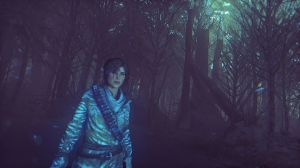 Rise of the Tomb Raider - Season Pass PC, wersja cyfrowa 4