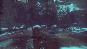 Rise of the Tomb Raider - Season Pass PC, wersja cyfrowa 5