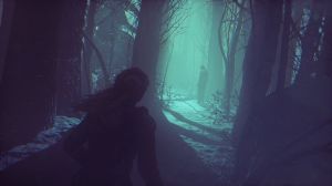 Rise of the Tomb Raider - Season Pass PC, wersja cyfrowa 7