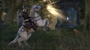 ZeniMax Online Studios The Elder Scrolls Online: Tamriel Unlimited PC, wersja cyfrowa 2