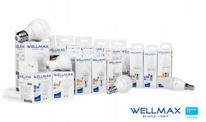 Wellmax Żarówka LED 10W E27 940lm Neutralny 4000K SAMSUNG / GP123N10 4