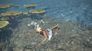 Final Fantasy XIV: Stormblood PC, wersja cyfrowa 5