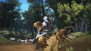 Square Soft Final Fantasy XIV Online: The Complete Edition PC, wersja cyfrowa 9