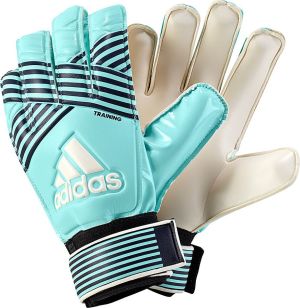 Adidas Rękawice bramkarskie ACE Training niebieskie r. 8 (BQ4588) 1