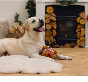 Beeztees Zabawka dla Psa Indyk ze Sznurem 30cm 2