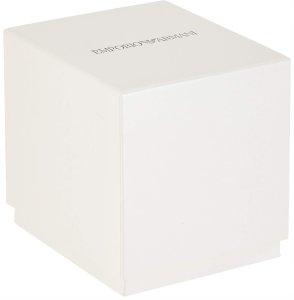 Emporio Armani Gianni T-Bar AR1956 10