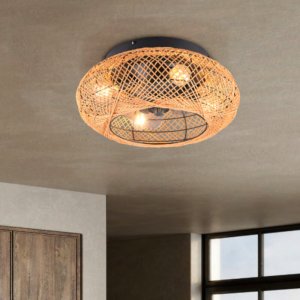 Wentylator RL Light Lampa sufitowa Lillesand R67302126 wentylator brązowy 9