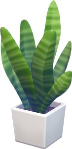 NS2 Pokémon Pokopia 7