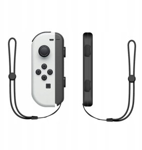 Pakiet akcesoriów rodzinnych 10 w 1 do gry Nintendo Switch Sports - zestaw czerwony i niebieski 11