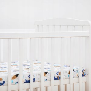 Efapel R1 MATERAC STANDARD KIDS MIŚ I LIS 4