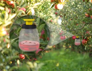 Pułapka na Osy Owady do Wyłapywania Os Przeciw Osom "Wasp Seductor" + Wabik Przynęta 200ml 10