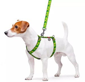 Collar Szelki nylonowe anatomiczne w kształcie litery H, z QR-paszportem, plastikowy fastex, wzór AWOKADO, rozmiar L 25mm 3