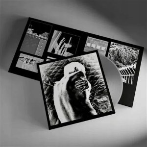 Gramofon ION SUEDE Autofiction (Indie Exclusive Grey Vinyl, Limited Edition) 3