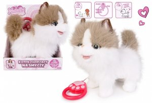 Kot chodzący na smyczy biało rudy 2