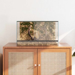 vidaXL Habitat dla gadów i płazów biały 50 x 30 x 30 cm 4