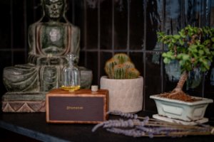 Dyfuzor zapachowy Cecotec Dyfuzor olejków, aromatyzer zapachowy Humanas Natural Wood - drewno włoskiego orzecha 101