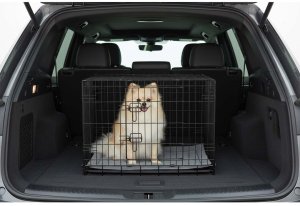 Metalowa klatka kennelowa dla psa + legowisko 75 x 45 x 54 cm PH-200 EDUKAMP 12