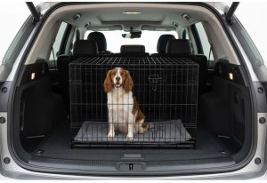 Pethaus Klatka kennelowa dla psa z legowiskiem 91 x 57 x 62 cm PH-201 10