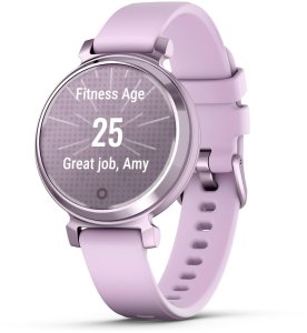 Smartwatch Garmin Laikr. Lily 2 010-02839-01 Lilac 2