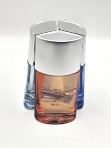 Mercedes-Benz MERCEDES-BENZ Land EDP spray 100ml 12