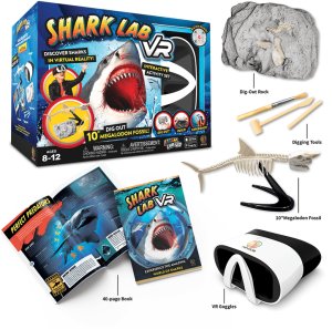 Dovetail Games ABACUS VR Steam Lab Shark Lab (FI/SE) 2