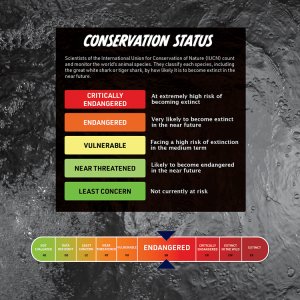 Dovetail Games ABACUS VR Steam Lab Shark Lab (FI/SE) 4