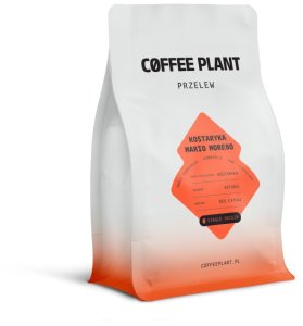 Kawa ziarnista Coffee Plant kawa ziarnista Kostaryka Mario Moreno Naturalny filtr 250 g 2