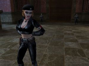 Return to Castle Wolfenstein PC, wersja cyfrowa 8