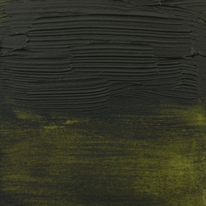 Amsterdam Expert Series Acrylic Tube Olive Green 620 2