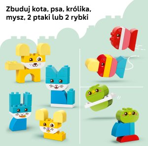 LEGO Duplo Kreatywne zwierzaki 3w1 (10477) 6