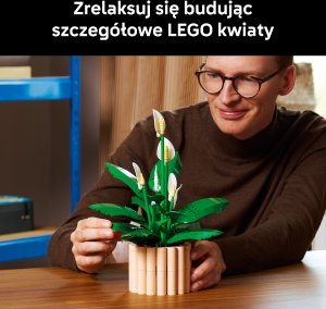 LEGO Botanicals Skrzydłokwiat (11504) 3