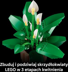 LEGO Botanicals Skrzydłokwiat (11504) 4