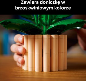 LEGO Botanicals Skrzydłokwiat (11504) 5